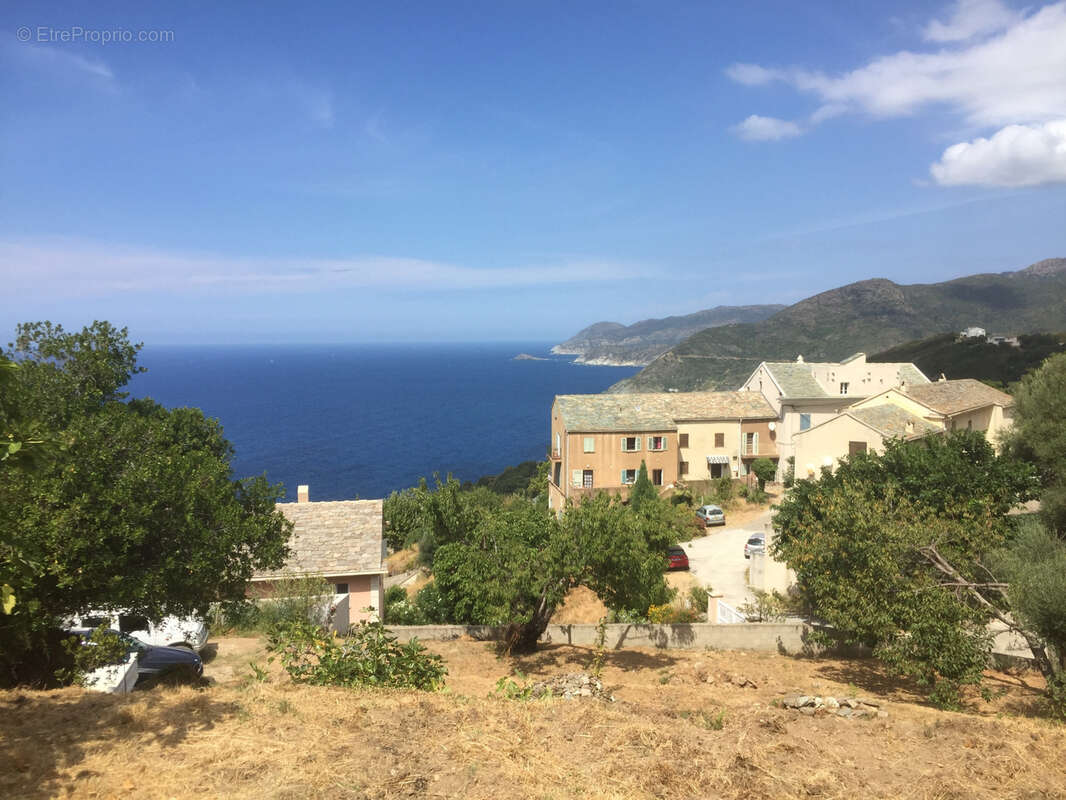 Cap Corse Pino   Terrain à bâtir avec vue mer et avant-projet de villa d’architecte - photo 2