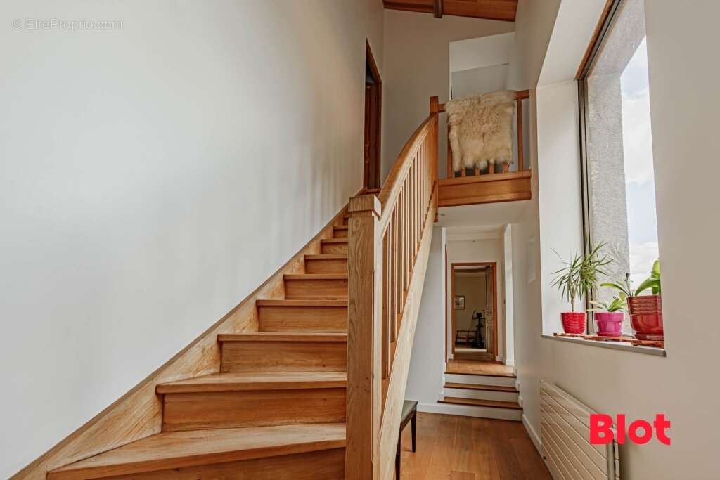Maison 251 m² à Saint-Julien-De-Concelles  - photo 8