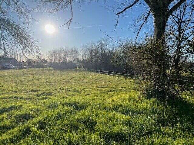 Photo 4 - Terrain à LA FORCE