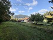 Maison à LUCENAY-L'EVEQUE