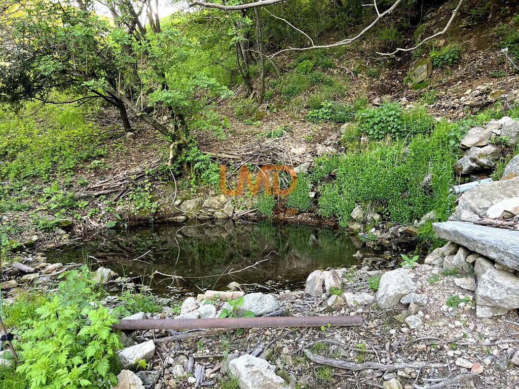 Propriété 54 hectares, rare en Ardèche - photo 17