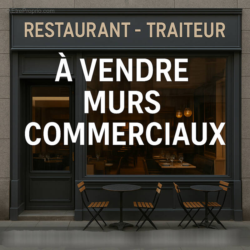Commerce à VIEILLEVIGNE