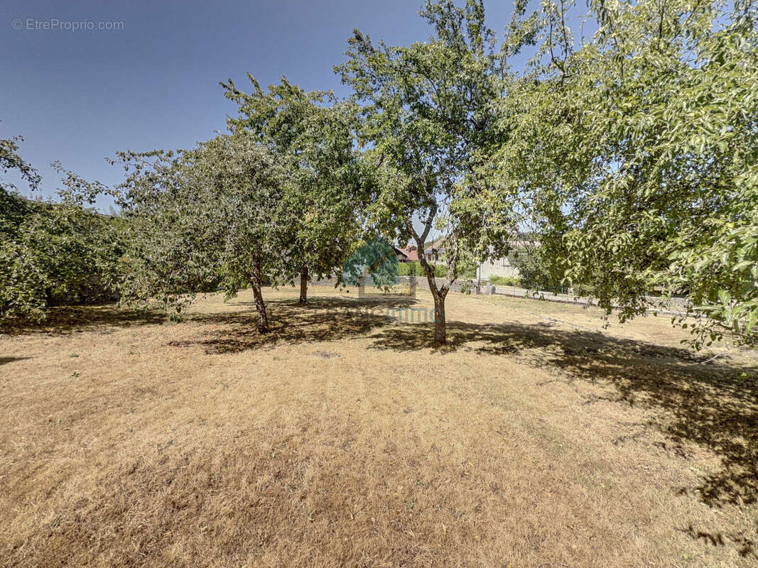 Belleherbe - grande maison avec dependances - photo 4