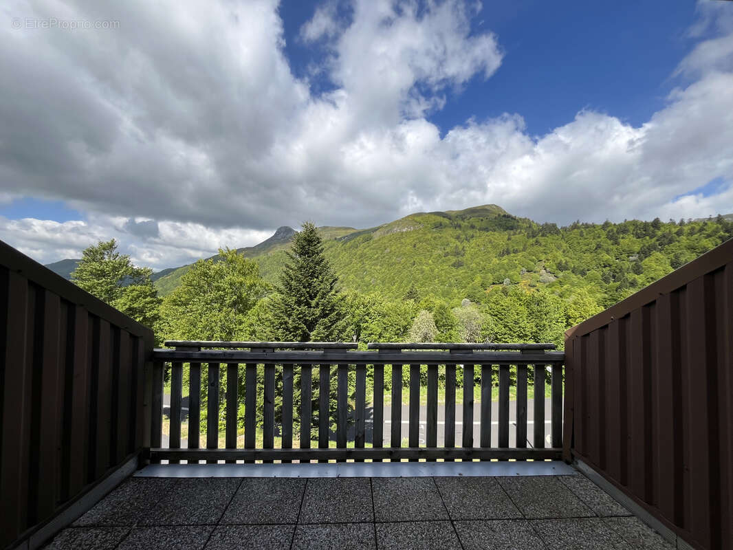 T3 duplex avec terrasse - photo 8