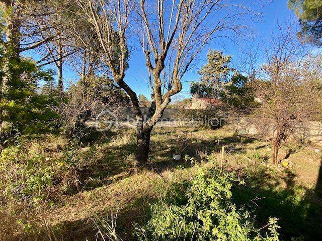 Maison à CASTELNAU-LE-LEZ