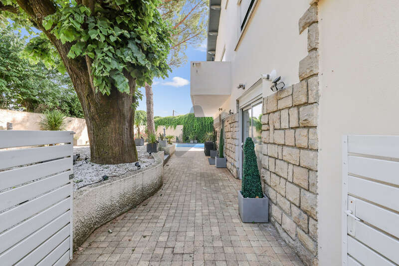 Maison à CHAMPAGNE-AU-MONT-D'OR