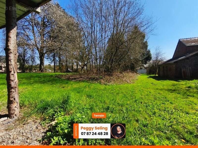 Terrain à MONDREPUIS