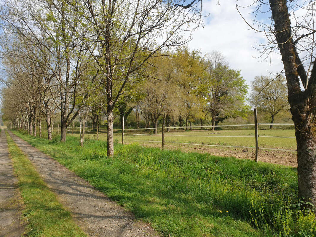 parc pour les chevaux - Maison à PLAISANCE