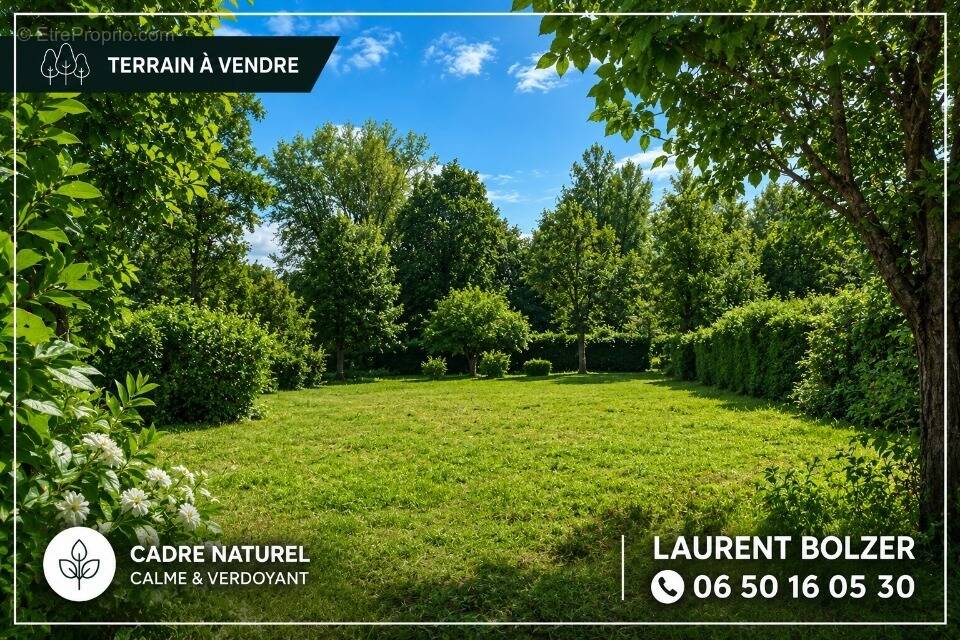 Terrain à HAUX