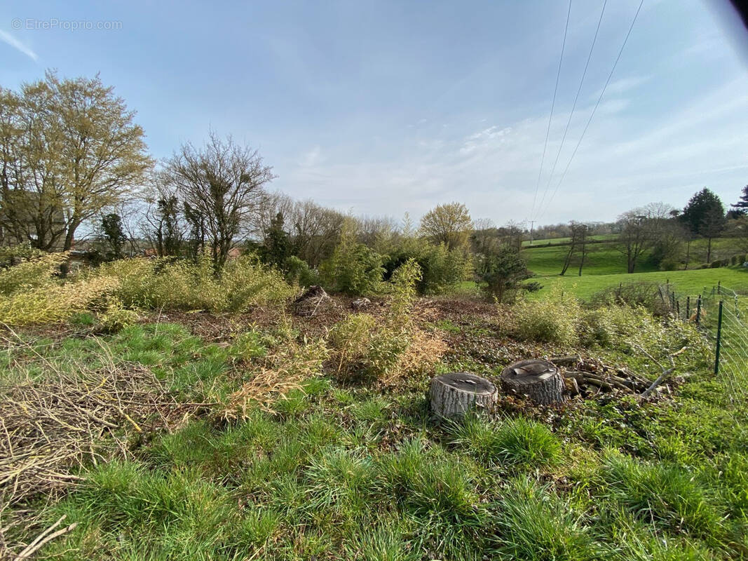 Terrain à RECQUIGNIES