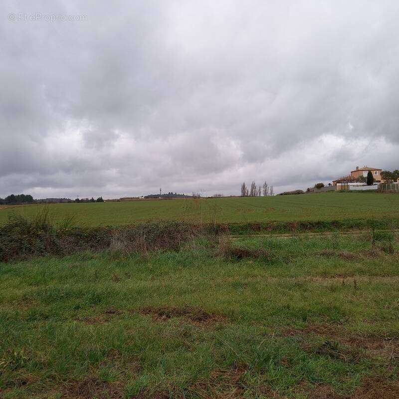Terrain à PUISSERGUIER