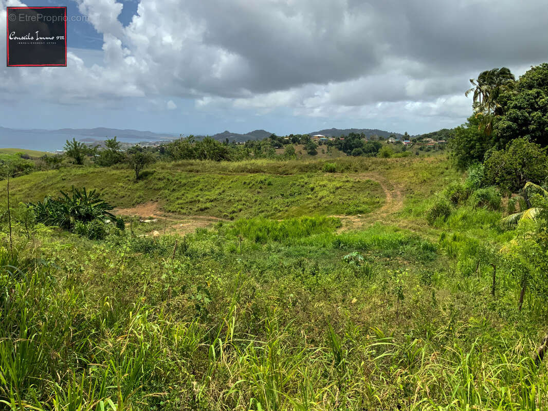 Terrain à SAINTE-MARIE