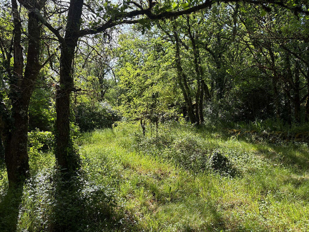 Terrain à LA DORNAC