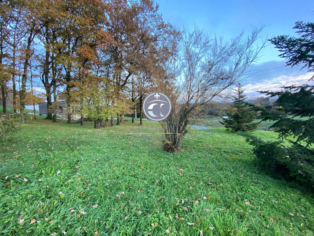 Terrain à CHOUZY-SUR-CISSE