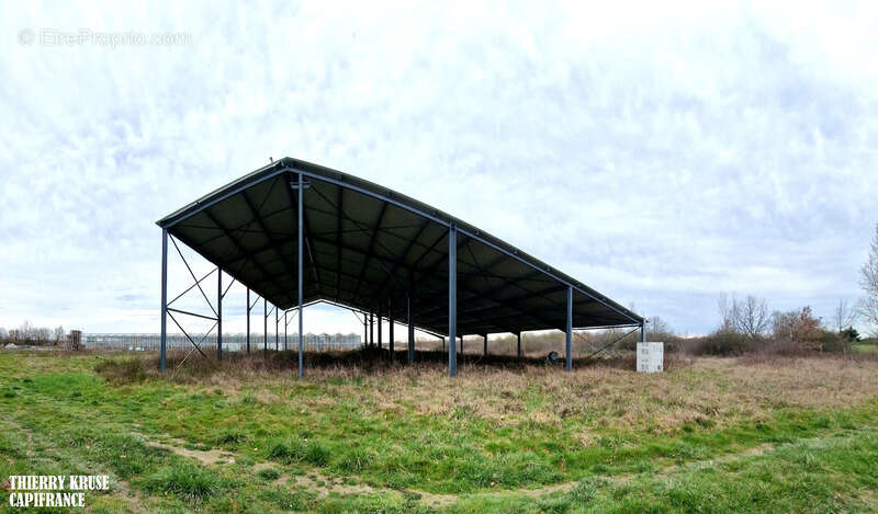 Terrain à FRONTON