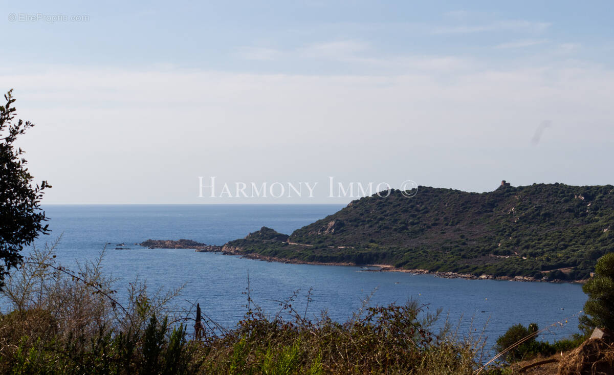 Terrain à PROPRIANO