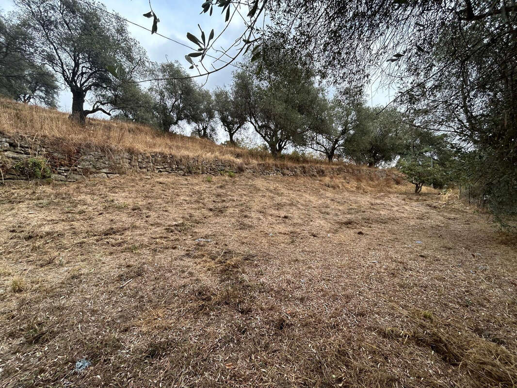Terrain à BERRE-LES-ALPES