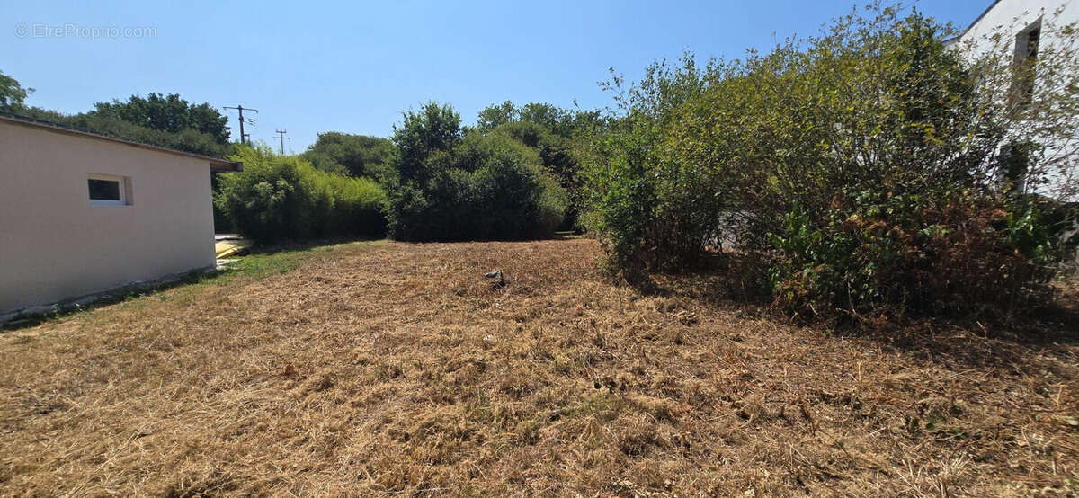 Combrit, joli terrain à bâtir de 1 000 m², bourg à pied, plage à vélo ! - photo 2