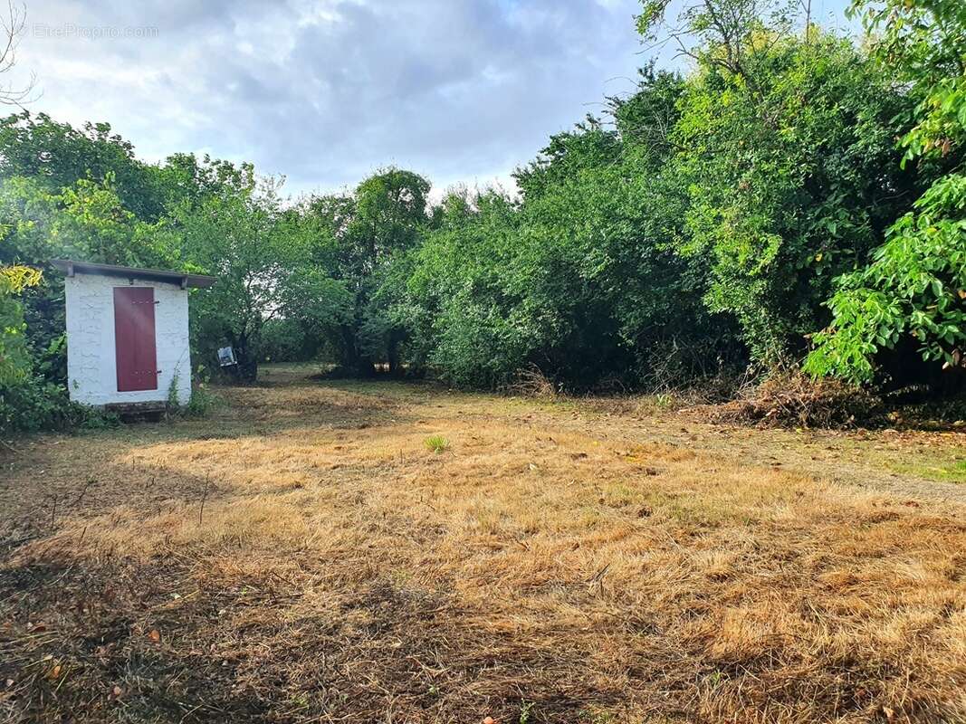 Maison à VILLENEUVE-SUR-CHER