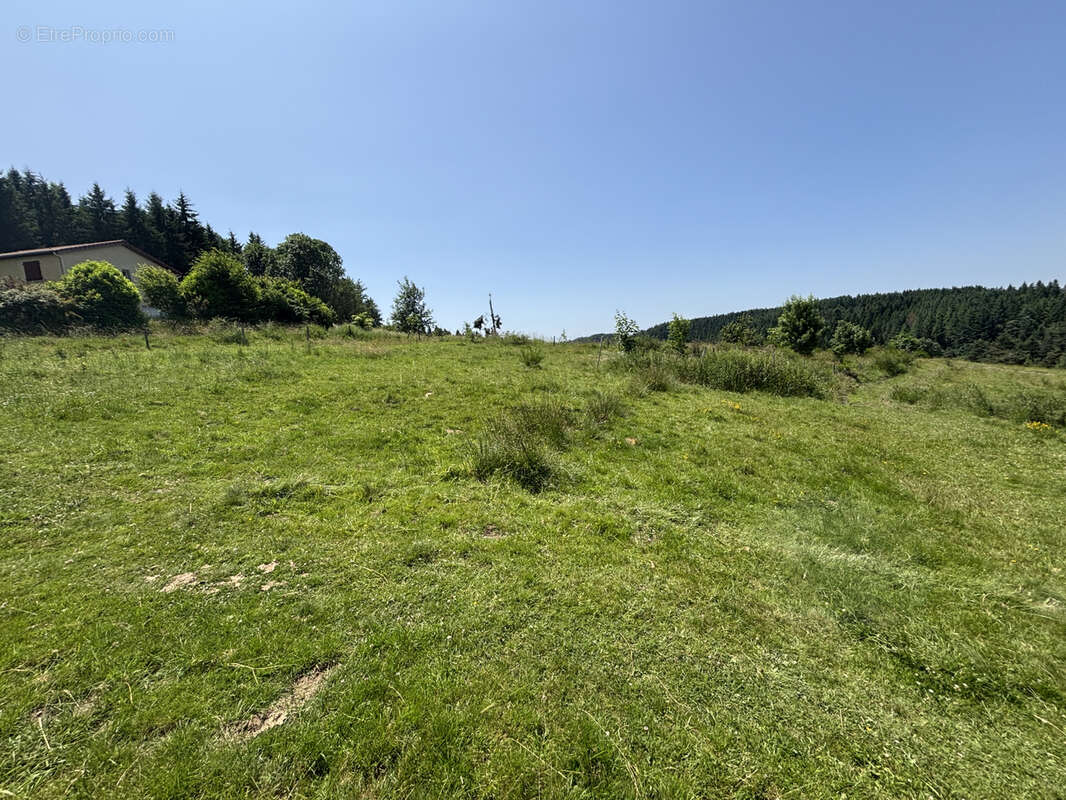 Terrain à SAINT-PAL-DE-MONS