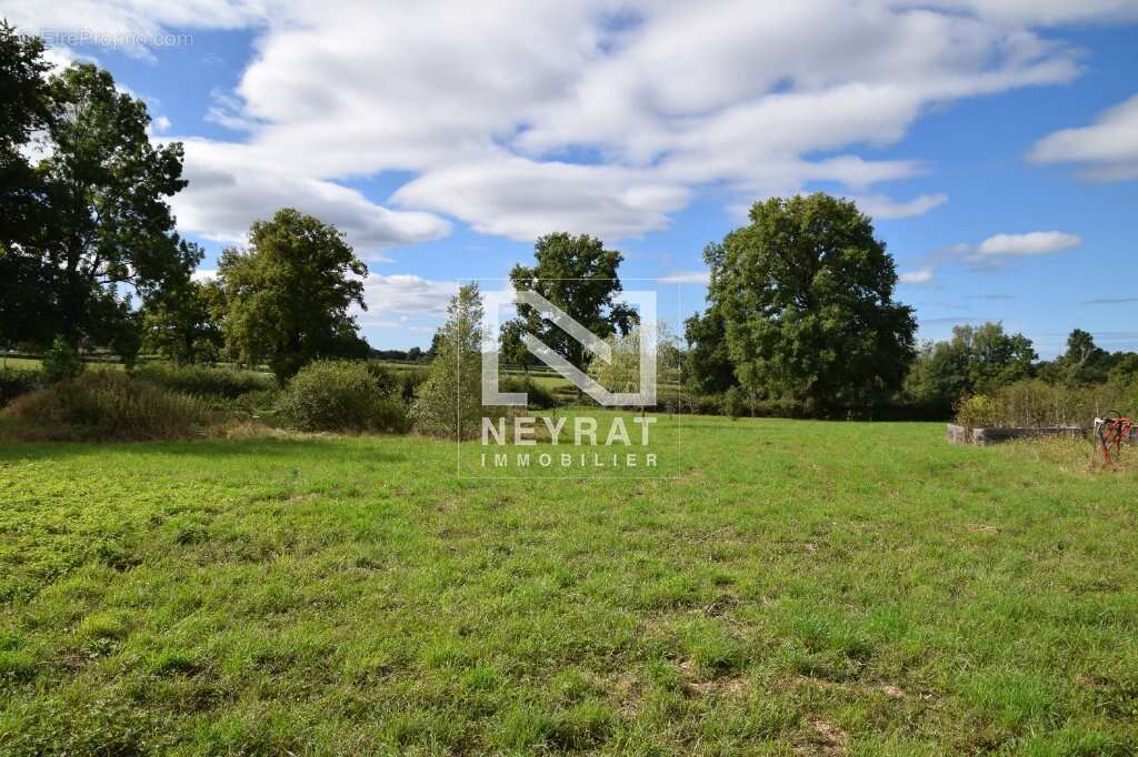 Ferme bourguignone avec terrain de 8 000 m² – fort potentiel ! - photo 17