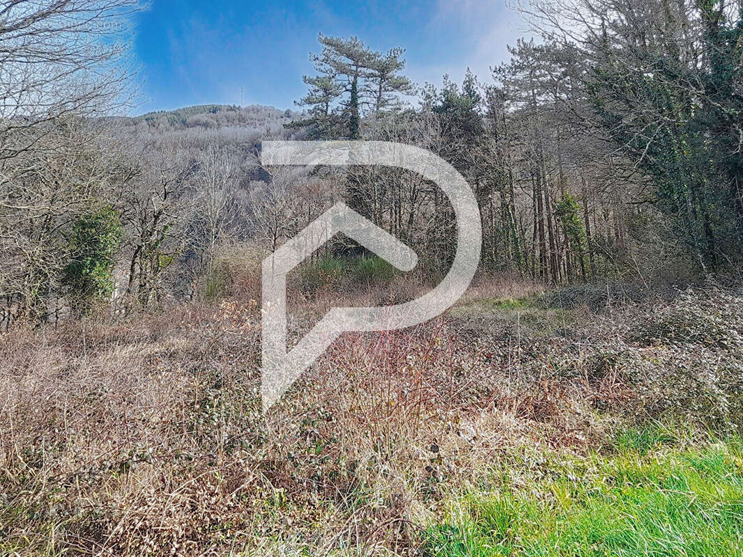 Terrain à BOISSEZON