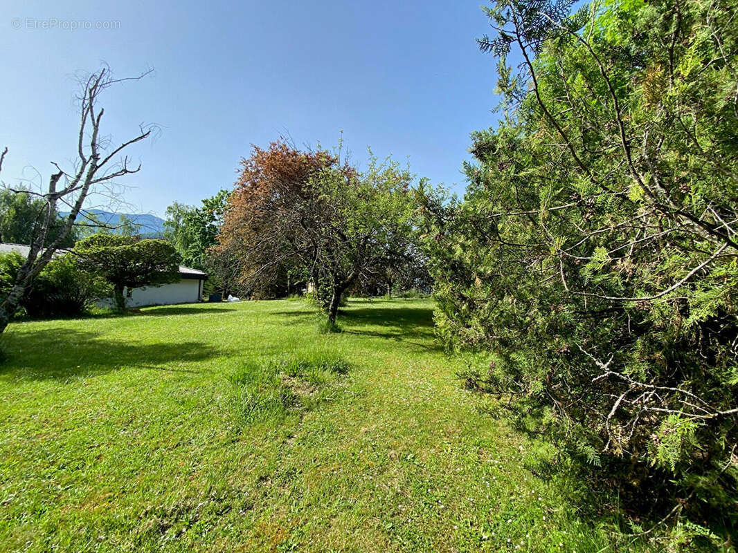 Terrain à VIMINES