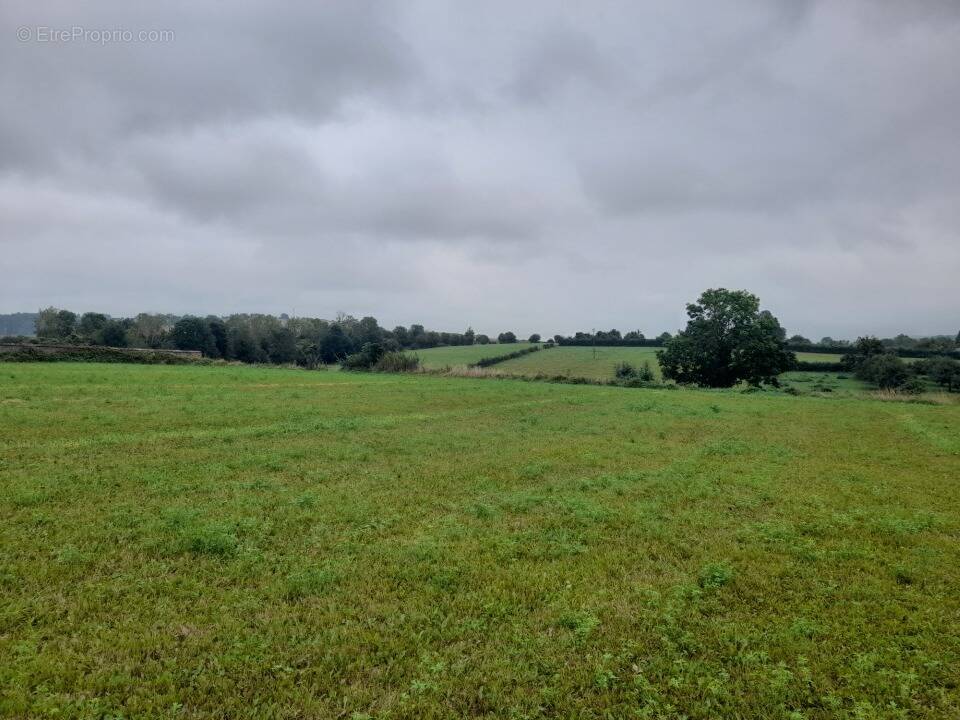 Terrain à DOUVREND