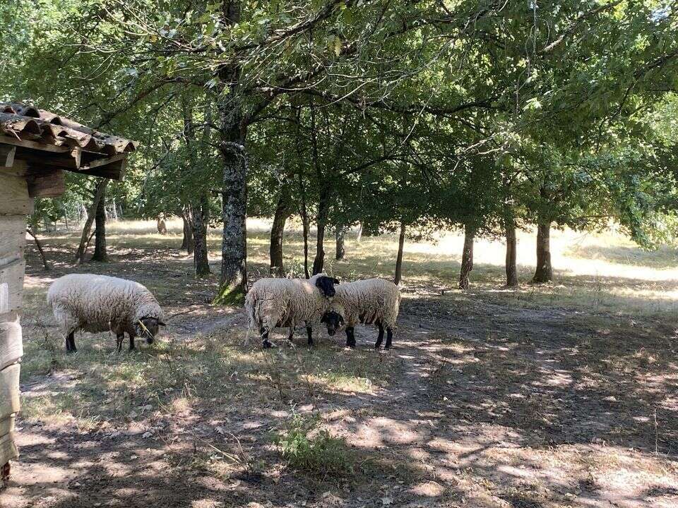 Ancien corps de ferme avec gîte - photo 16