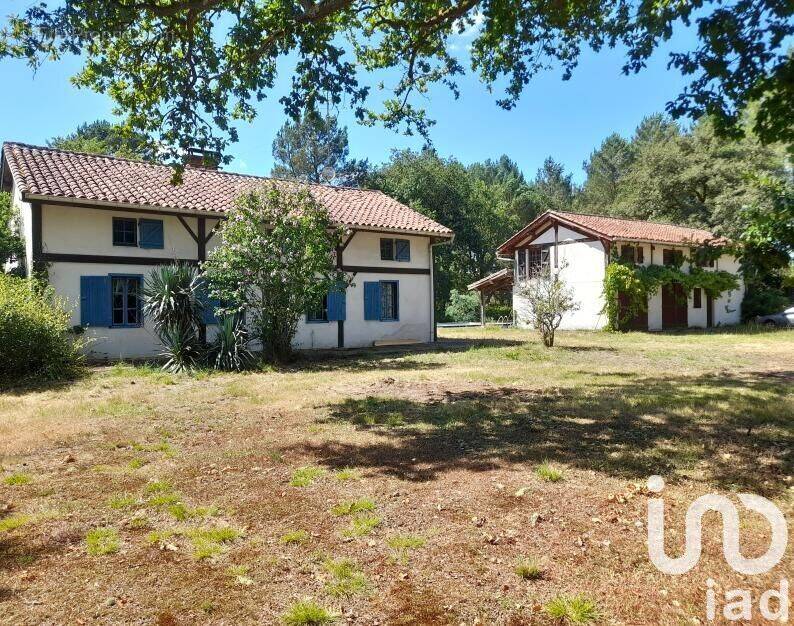 Photo 1 - Maison à LENCOUACQ