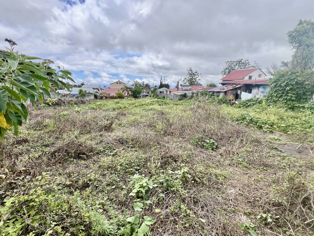 Terrain à LE TAMPON