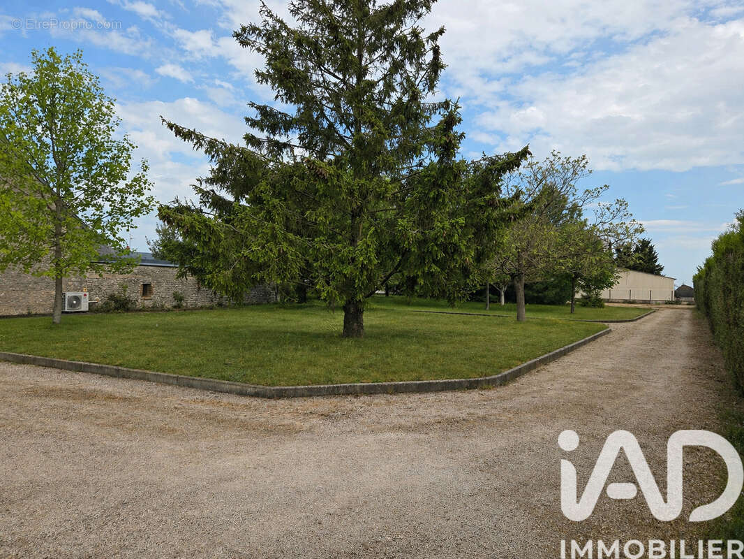 Photo 3 - Maison à ORGERES-EN-BEAUCE