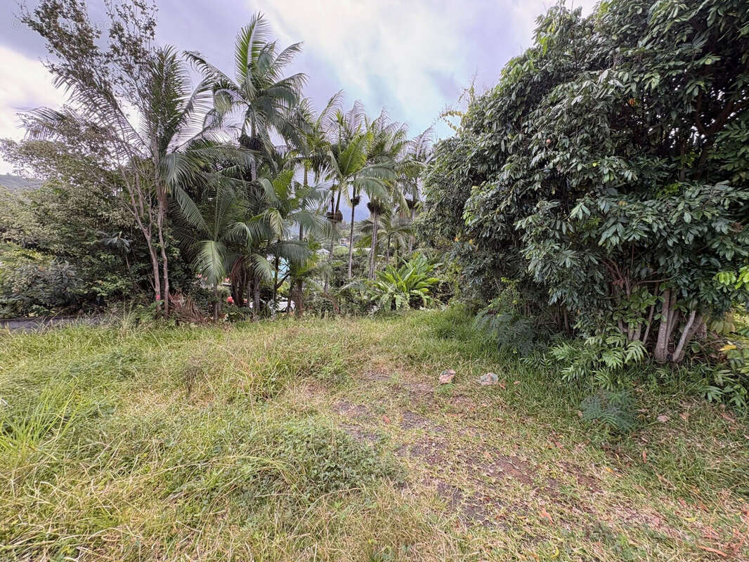 Terrain à ENTRE-DEUX