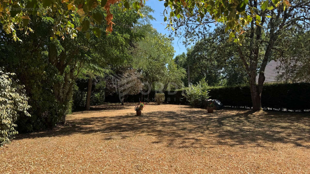 Beaulieu-sur-Loire  Ensemble immobilier de caractère, un bien rare ! - photo 15