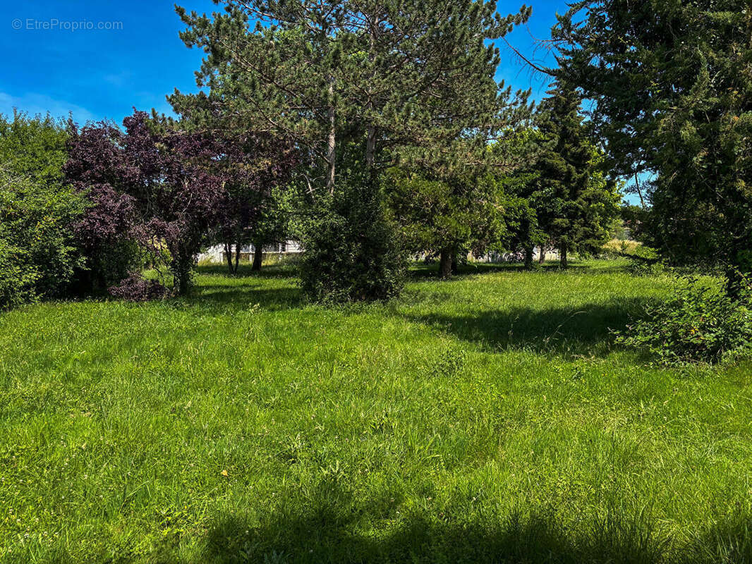 Maison avec grand parc - photo 15