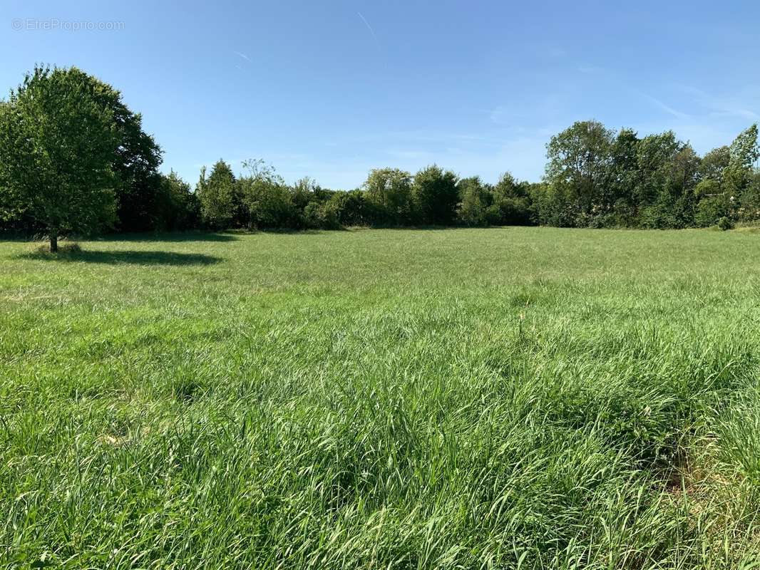 Maison à SAINT-SAUVEUR