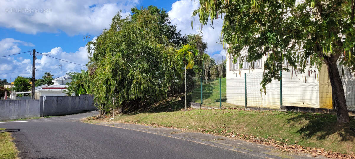 Terrain à LES ABYMES