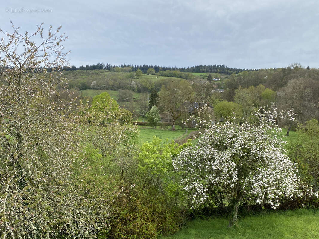 Maison à MONTREUILLON