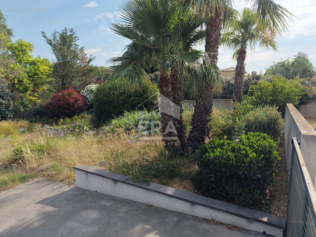 Terrain 760m² à perpignan - photo 2