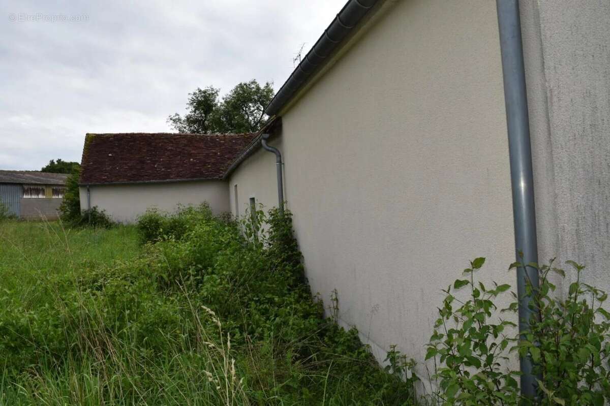 Fermette à vendre dans la Nièvre avec 3375 m² de terrain - photo 30