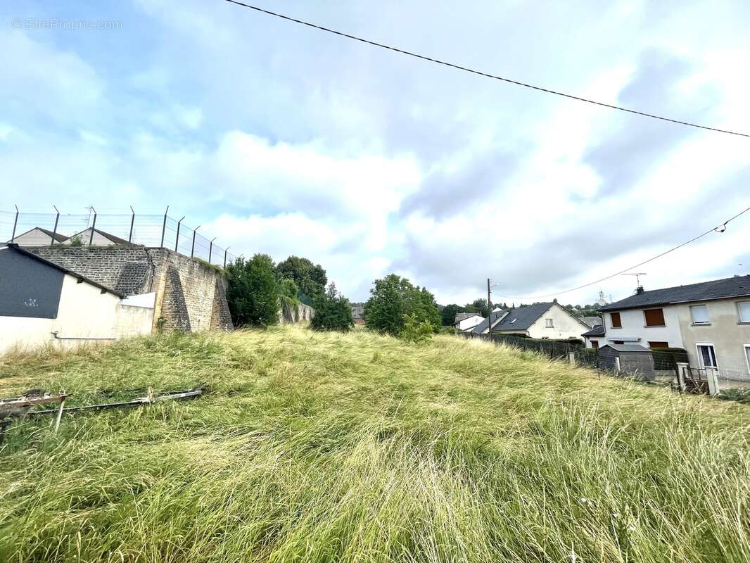 Terrain 2631 m² à Vivier-Au-Court  - photo 10