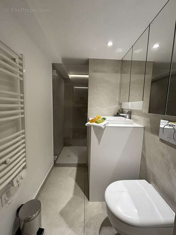 Appartement 26 m² à Grenoble  - photo 5