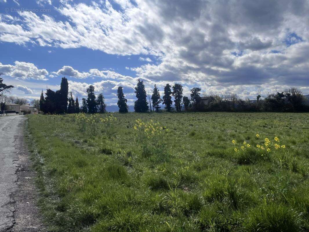 Terrain à MONTELIMAR