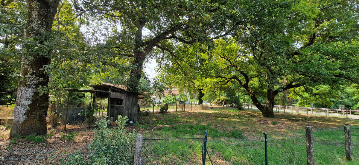 Maison à BAZAS
