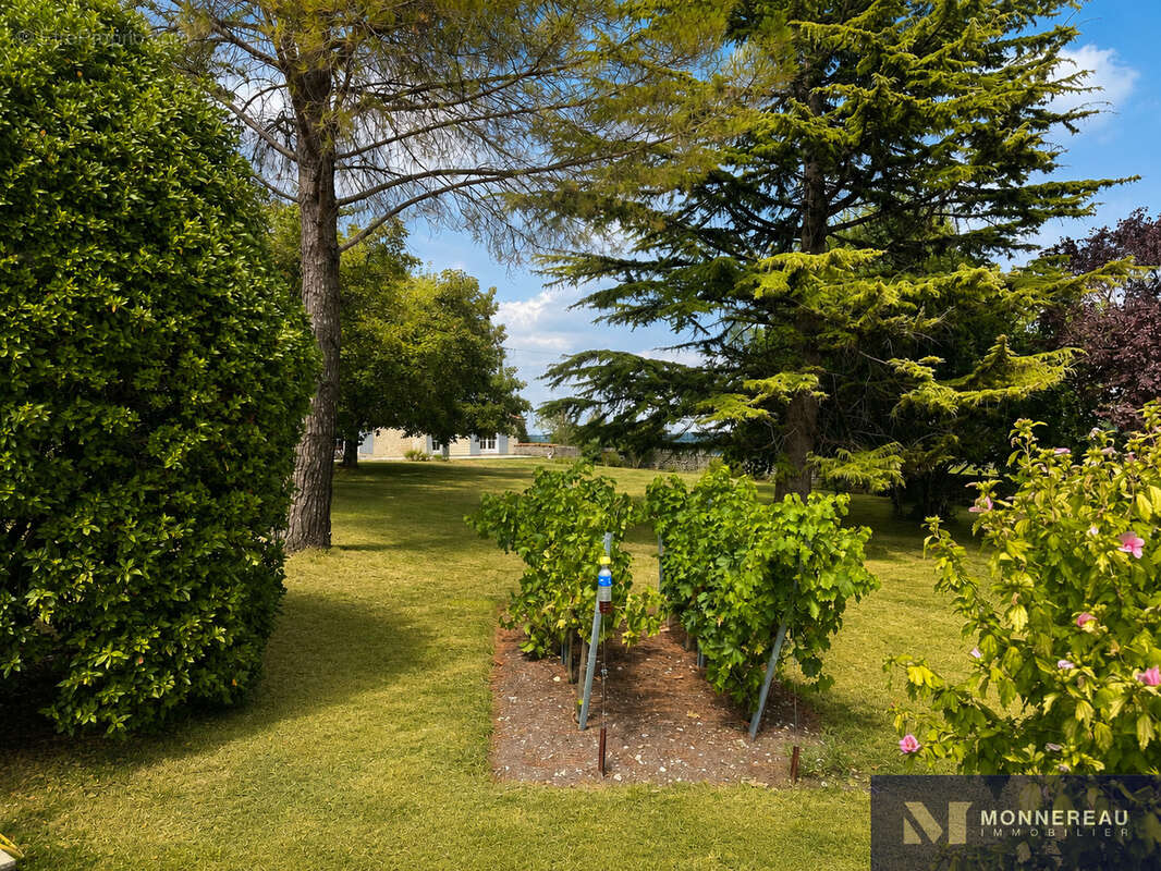 Charmante maison avec piscine et vue - photo 23
