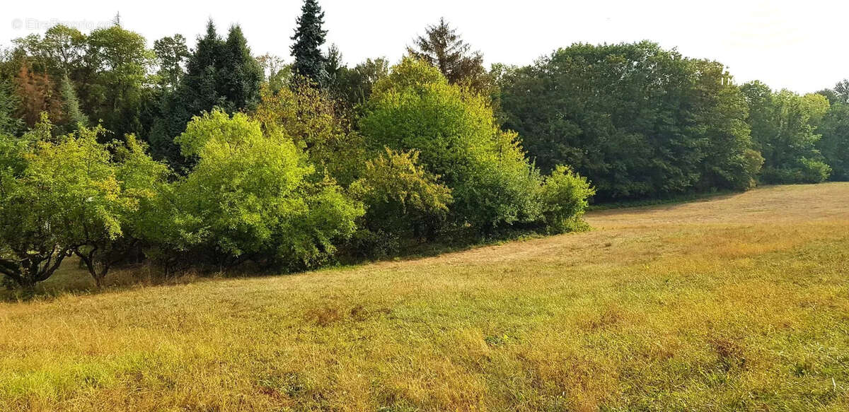 Terrain à VIENNE