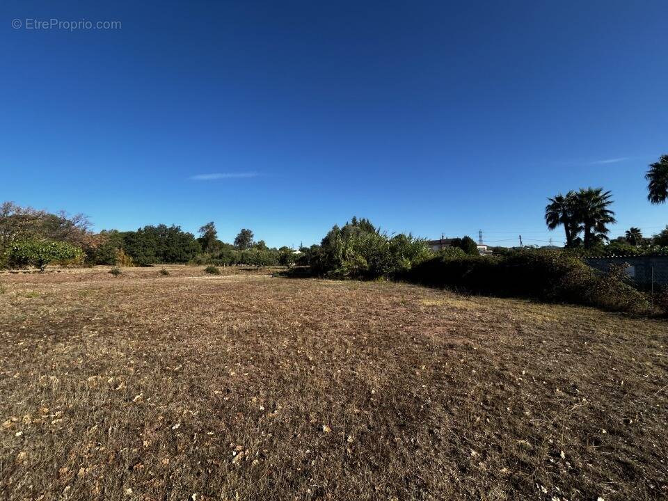 Terrain à PUGET-SUR-ARGENS