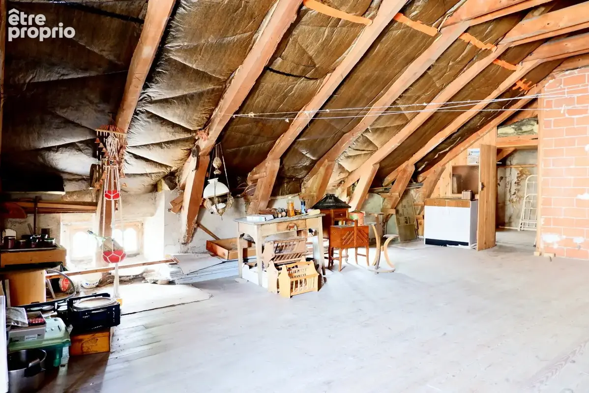 Maison en pierre de 221 m2 avec dépendances et gîte - Le Mazet-Saint-Voy - photo 25