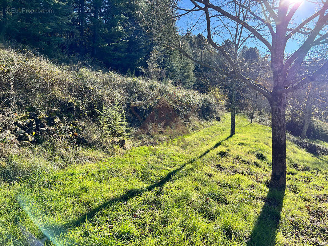 Maison à SAINT-FLORENT-SUR-AUZONNET