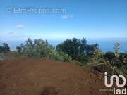 Photo 1 - Terrain à SAINT-LEU